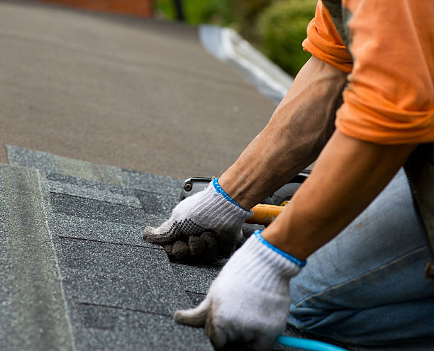 Best Shingle Roofing Installation  in Appleton, WI